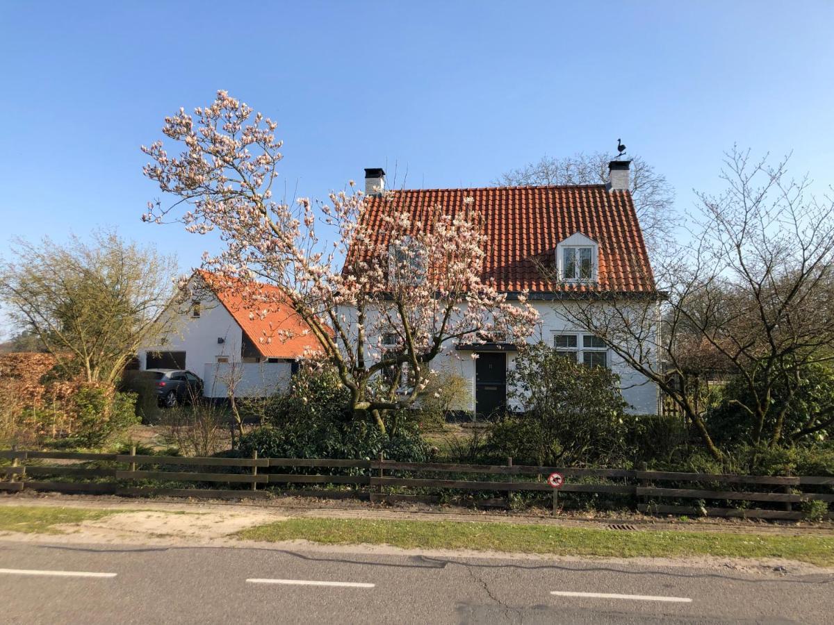 Bed and Breakfast Horse And Hound Riethoven Zewnętrze zdjęcie