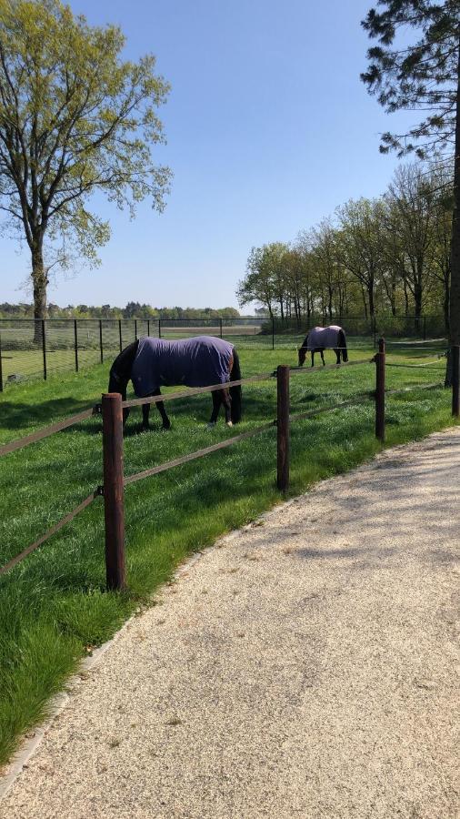 Bed and Breakfast Horse And Hound Riethoven Zewnętrze zdjęcie